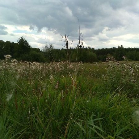 Chamedafne W Puszczy Kampinoskiej Brochów エクステリア 写真