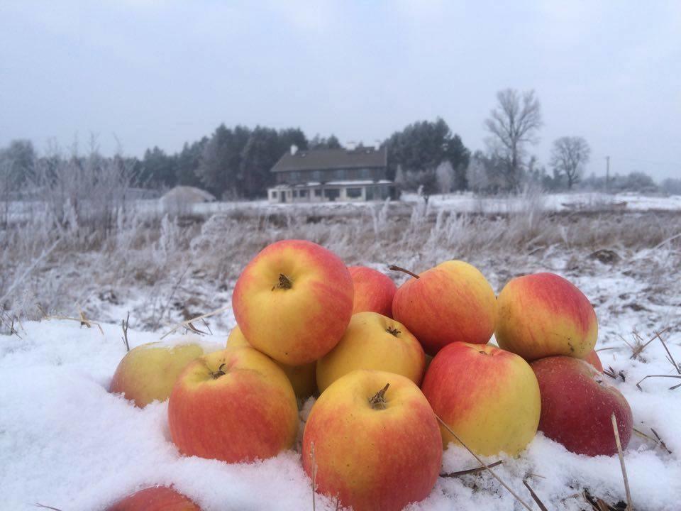 Chamedafne W Puszczy Kampinoskiej Brochów エクステリア 写真