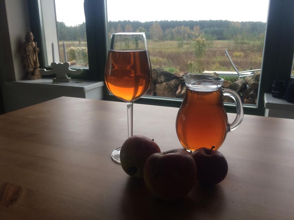 Chamedafne W Puszczy Kampinoskiej Brochów エクステリア 写真