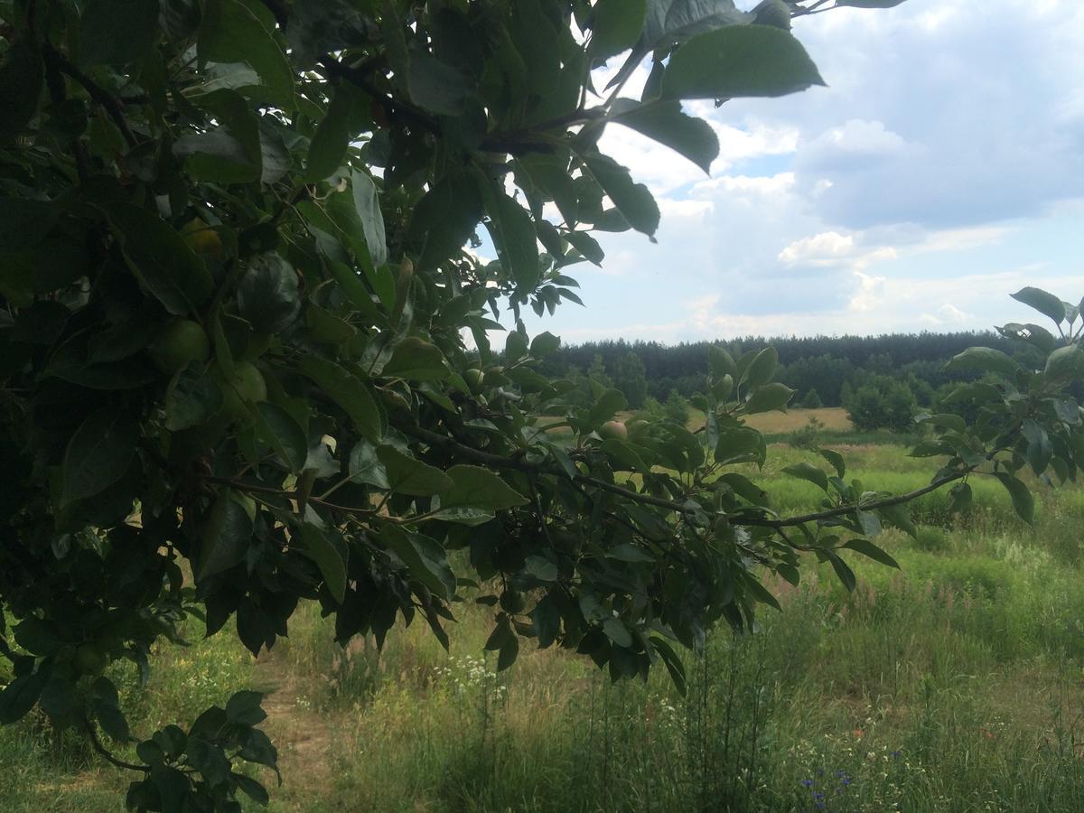 Chamedafne W Puszczy Kampinoskiej Brochów エクステリア 写真
