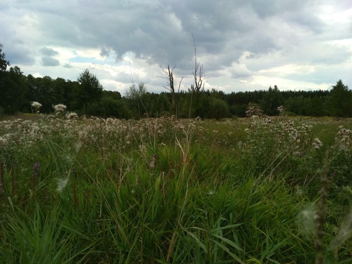 Chamedafne W Puszczy Kampinoskiej Brochów エクステリア 写真